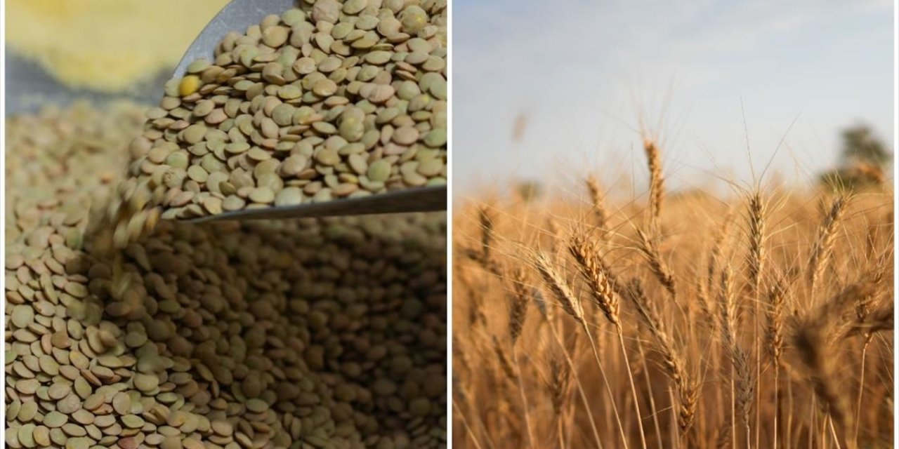 Yeşil Mercimek ve Yulaf İthalatında Gümrük Vergileri Düşürüldü