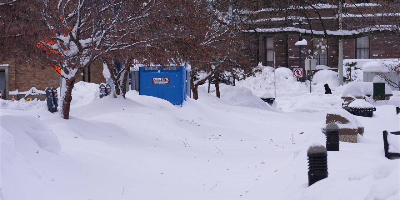 ABD'nin İç Kesimlerinde Kar ve Fırtına Nedeniyle Yaklaşık 2 Bin 500 Uçuş İptal Edildi