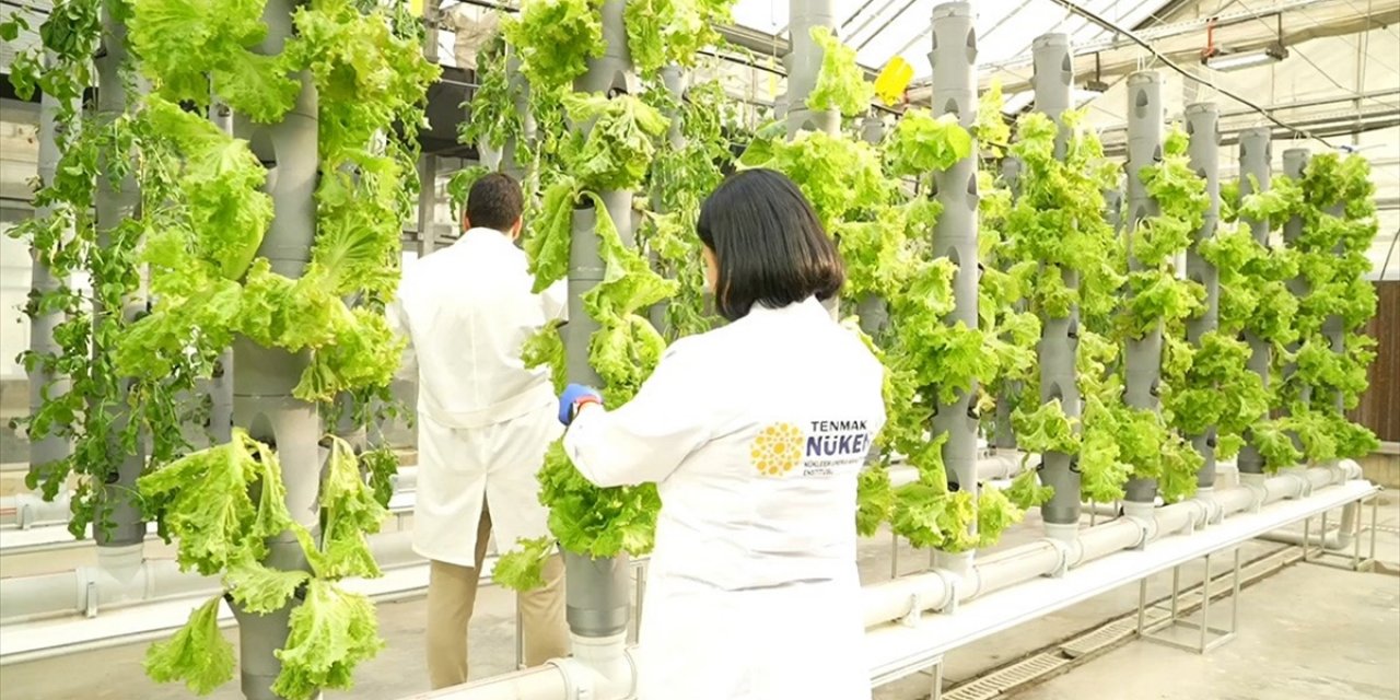 Tenmak, Yiyeceklerin Raf Ömrünü Uzatan Gıda Teknolojisi Geliştiriyor