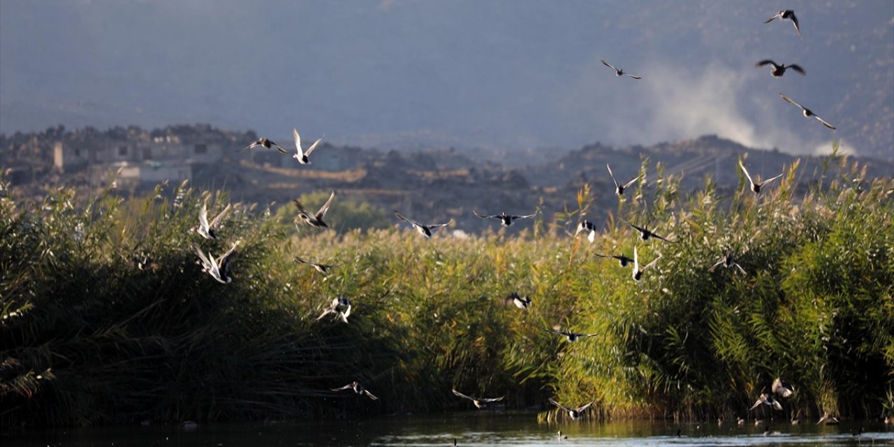 Aras Kuş Cenneti'nde 2025'te 11 Bin 298 Kuş Halkalandı
