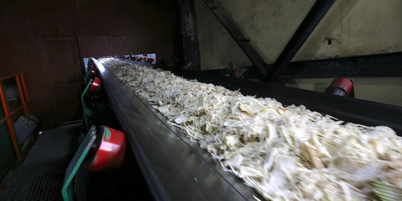 Muş ve Van'daki Fabrikalarda 76 Bin 10 Ton Şeker Üretimi Hedefleniyor