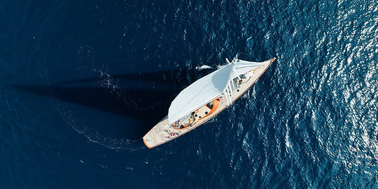 Orkaların Yelkenlilerle Etkileşimi Genç Bireylerin Merak ve Öğrenme Davranışı Olabilir