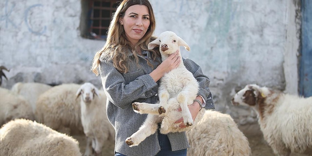 İstanbul'dan Köyüne Dönüp Hayvancılığa Başlayan Kadın 3 Yılda Sürüsünü 4'e Katladı