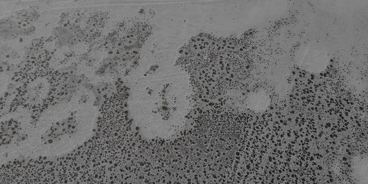 Tamamen Kuruyan Seyfe Gölü Kuş Cenneti Sessizliğe Büründü