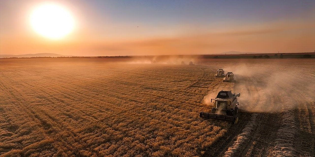 Üreticilere Ipard-ııı Programı Kapsamında Kasım Döneminde 376,8 Milyon Lira Ödendi