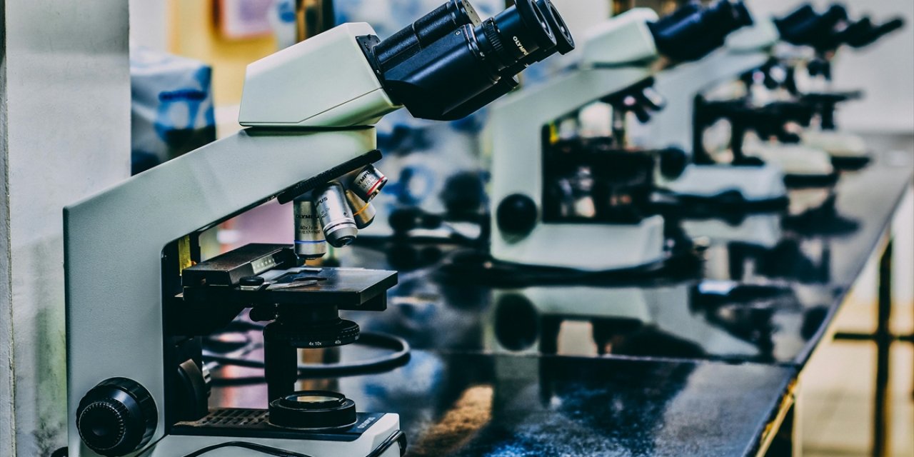 Türk ve Avrupalı Araştırmacılar, Hastalara Yönelik Kişiselleştirilmiş Tedavileri Birlikte Geliştirecek