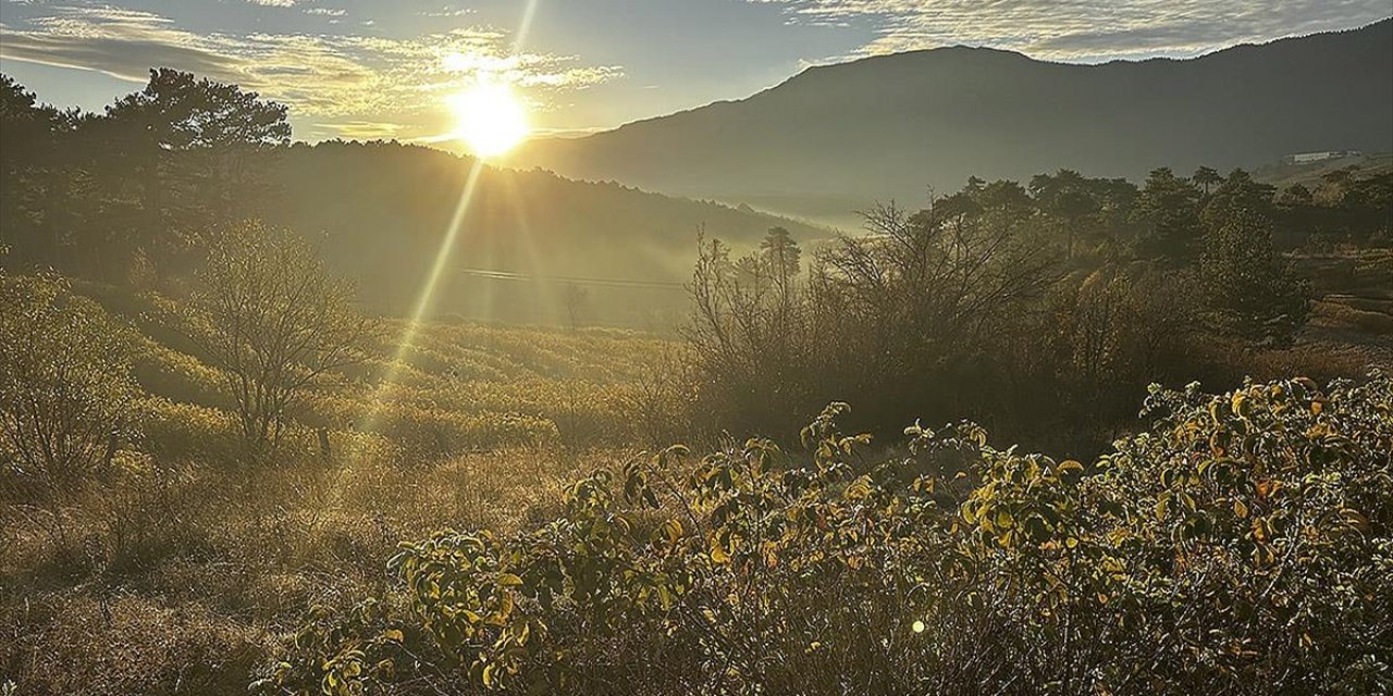 Isparta'nın Gül Bahçeleri Sarı ve Turuncuya Büründü
