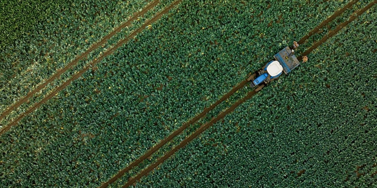 Çiftçilere 1,1 Milyar Liralık Tarımsal Destekleme Ödemesi Bugün Yapılacak