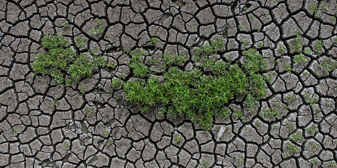 Toprak İle Su Kaybı, Gıdayı ve Geleceği Doğrudan Tehdit Ediyor