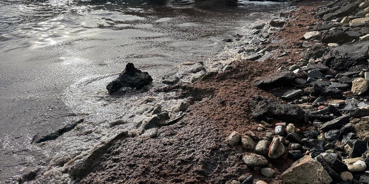 Tekirdağ'da Poyraz Nedeniyle Sahilin Bir Kısmında Kırmızı Yosun Birikti