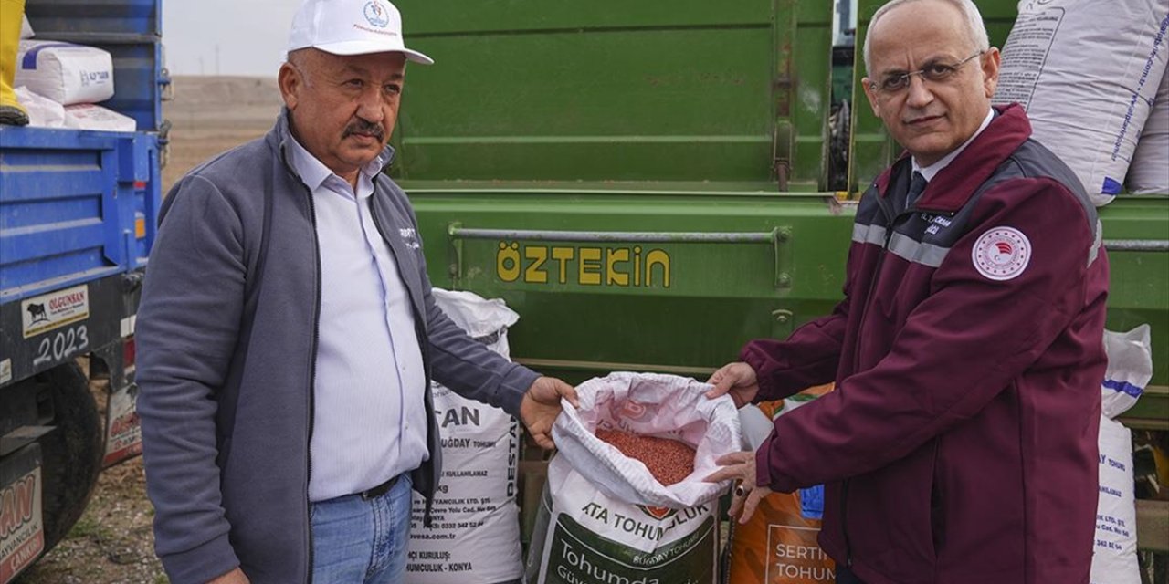 Çankırı'da Çiftçiler 800 Hektarda Kuraklığa Dayanıklı Sertifikalı Tohum Deniyor