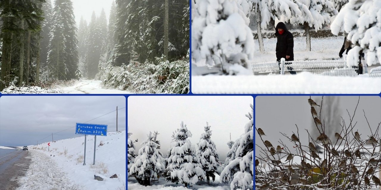 Yurdun Bazı Kesimlerinde Kar Yağışı ve Soğuk Hava Etkili Oluyor