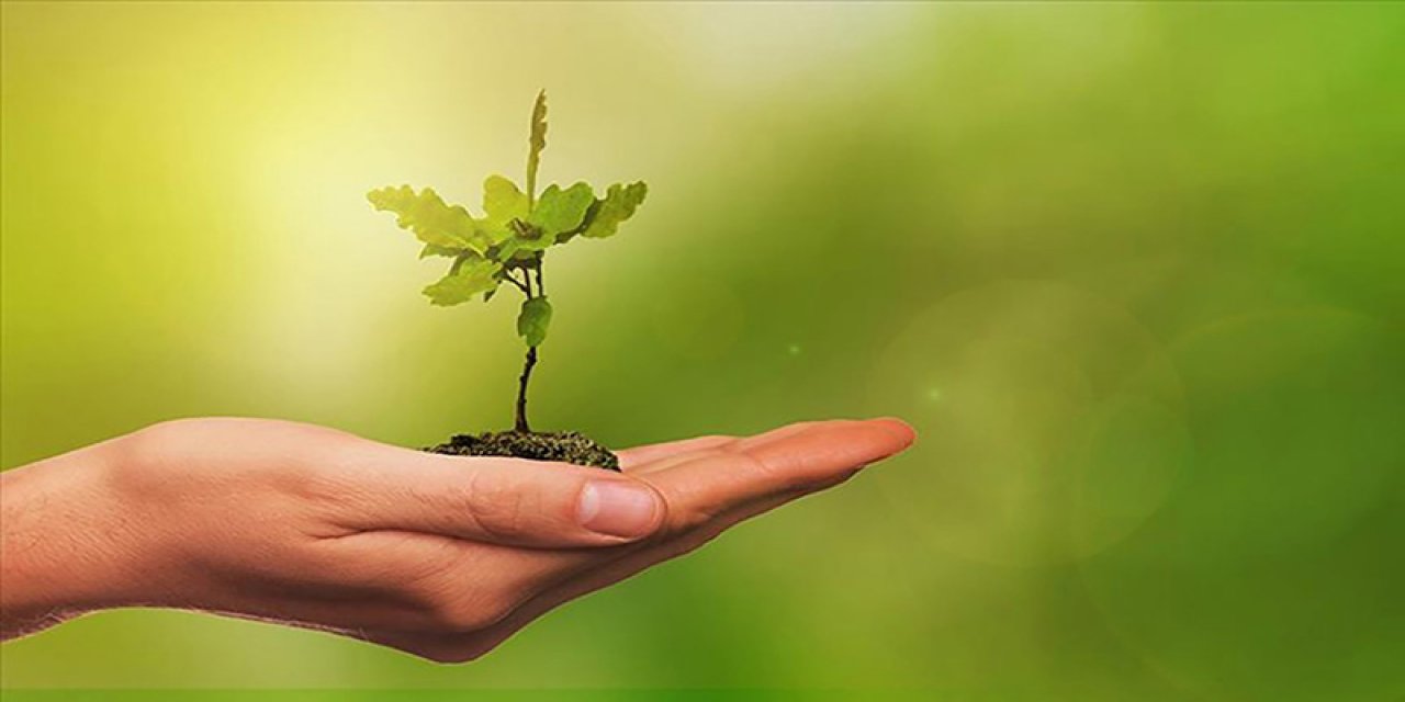 Paris Anlaşması İklim Kriziyle Mücadelede Dönüm Noktası Olarak Görülüyor