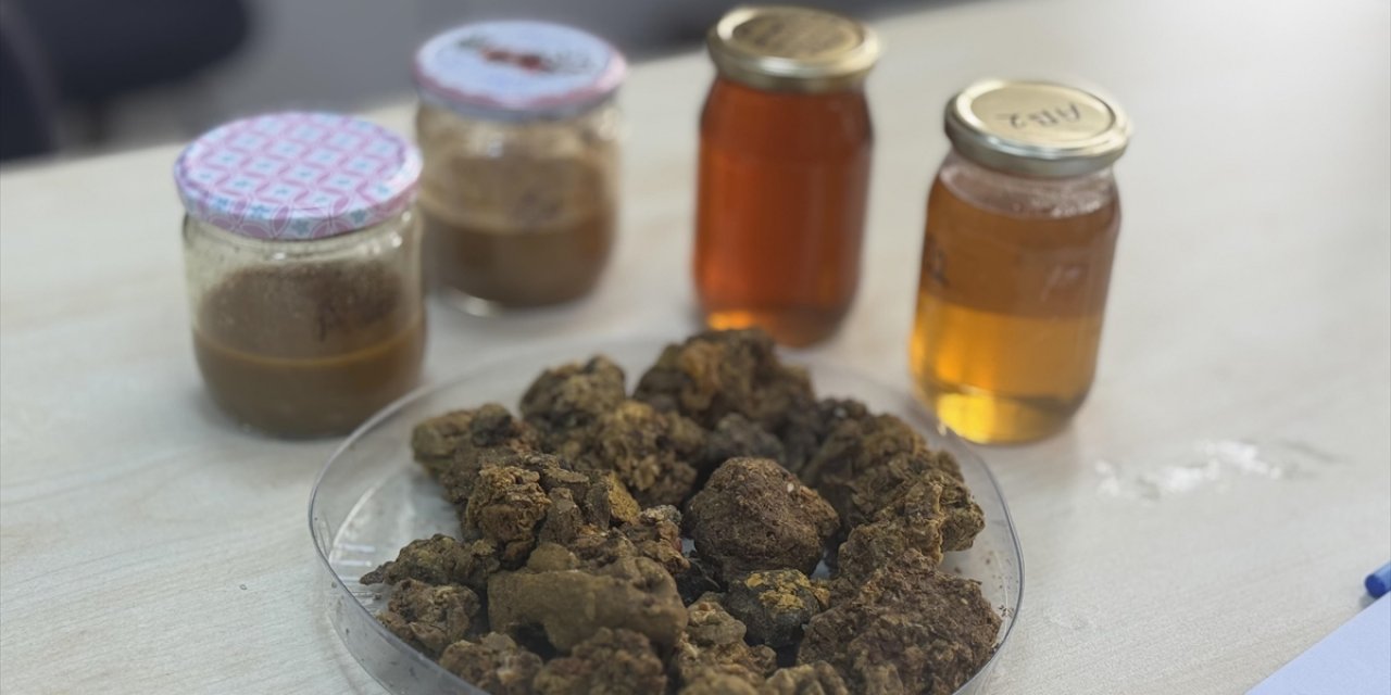 Arı Ürünleri Araştırmaları "KTÜ Apimer" Çatısı Altında Sürdürülecek