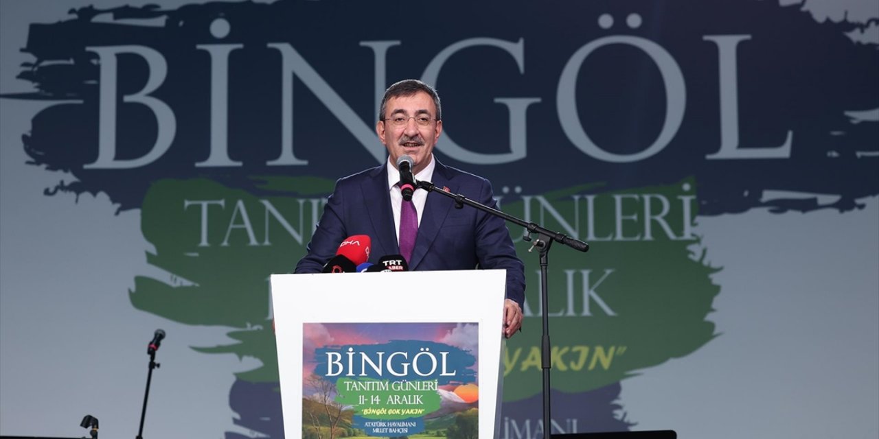 Cumhurbaşkanı Yardımcısı Yılmaz: Biz Hem 'Terörsüz Türkiye' Hem 'Terörsüz Bölge' Diyoruz