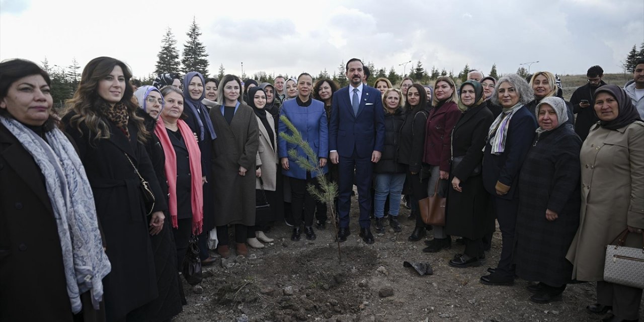 AK Parti Tarafından "Türk Dünyası Hatıra Ormanı" Oluşturuldu