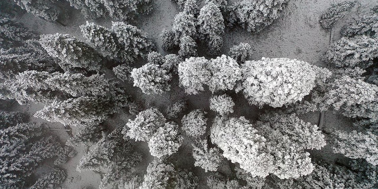 Ilgaz Dağı'nda Kar ve Sis Etkili Oldu