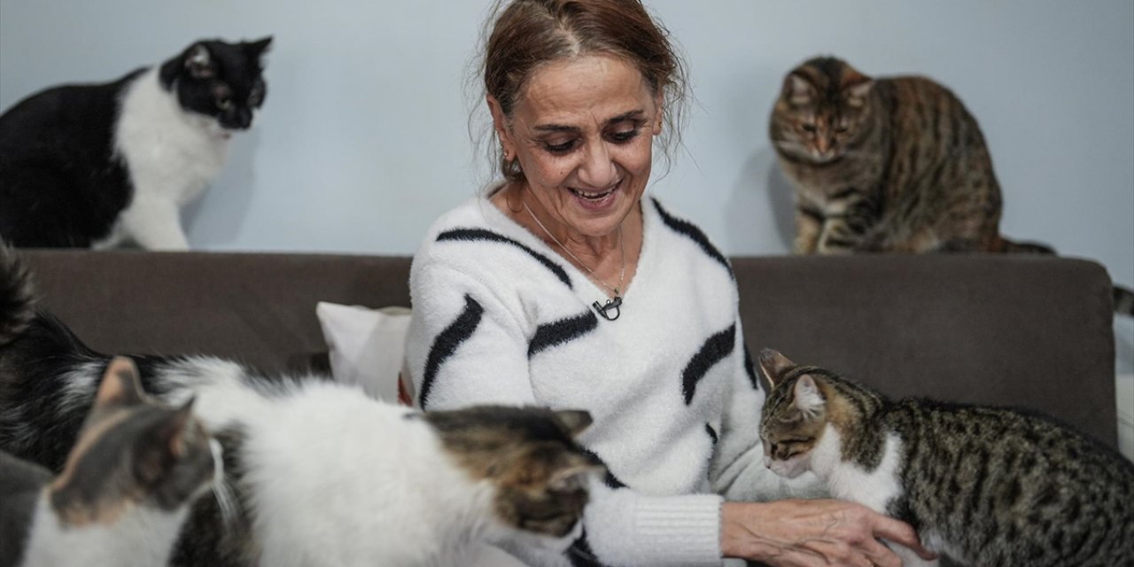 Kanser Tedavisi Sürecinde Evinde Beslediği 30'dan Fazla Kediden Güç ve Moral Buldu