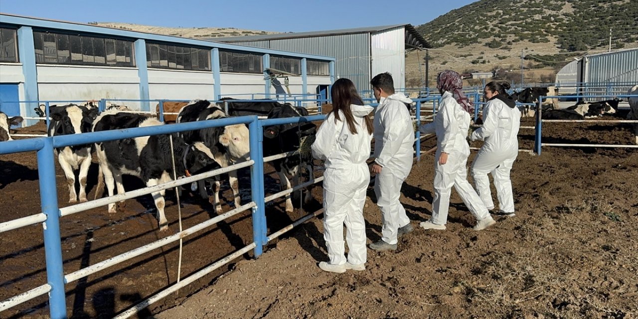 Üniversitenin Uygulama Çiftliği Öğrencilere Sahada Eğitim İmkanı Sunuyor