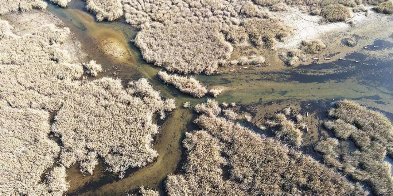 Yağışlarla Nefes Alan Bafa Gölü'nde Doğal Yaşam Yeniden Canlandı