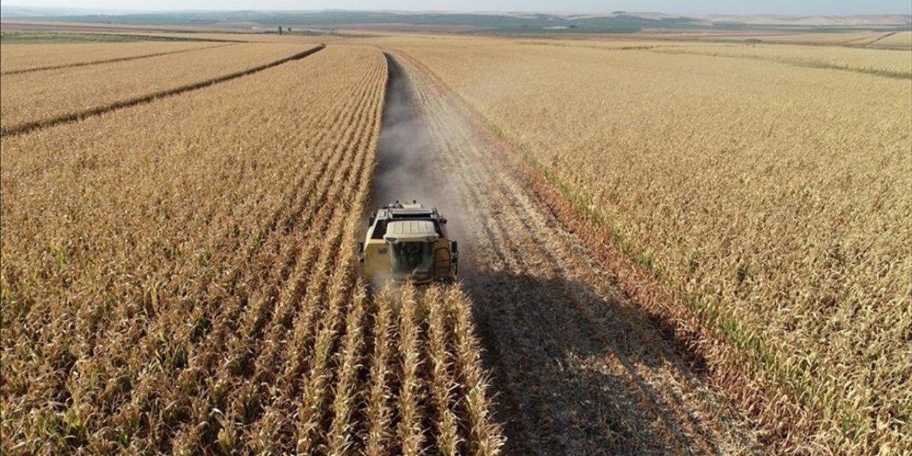 Tarım Üfe Kasımda Aylık Bazda Yüzde 1,56 Azaldı