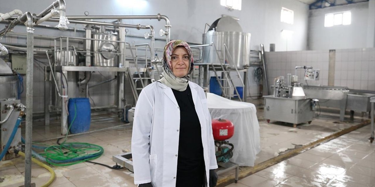 Muşlu Kadın Girişimci Kurduğu Tesiste Günlük 10 Ton Süt İşliyor