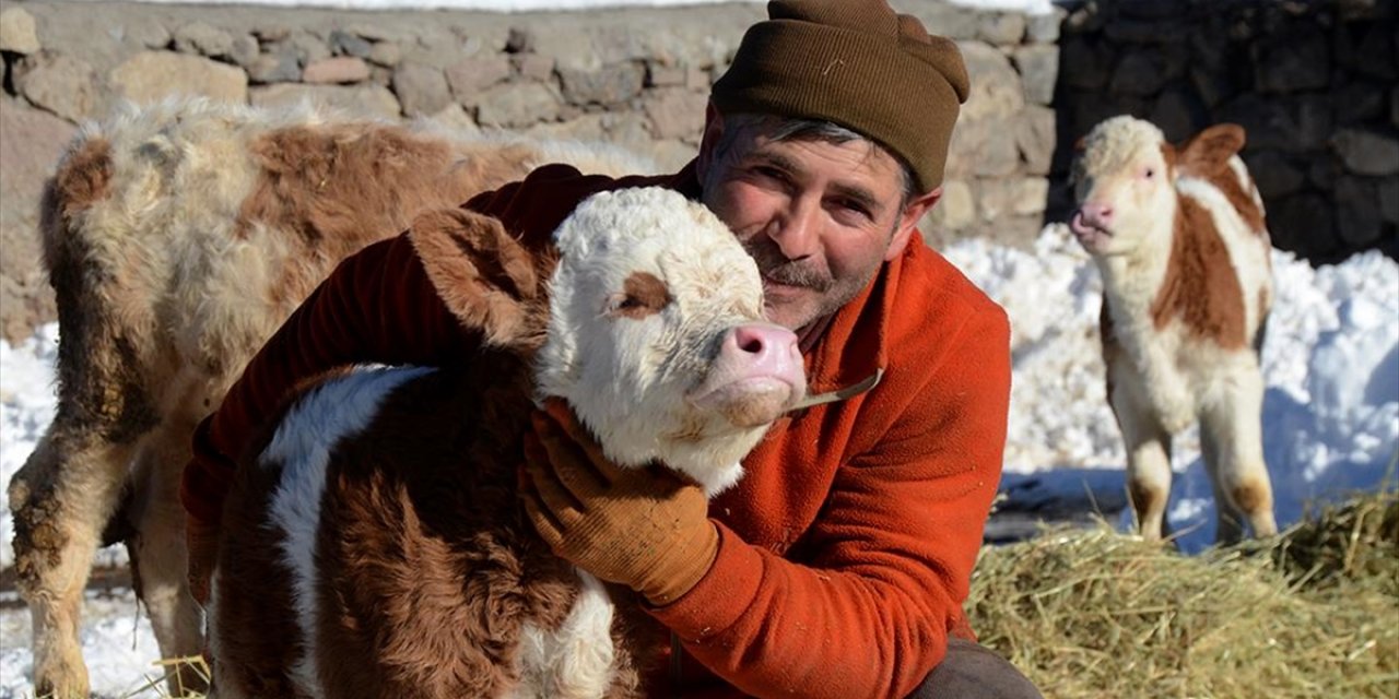 Kars'ta Besiciler Sıfırın Altında 10 Derecede Zorlu Mesai Yapıyor