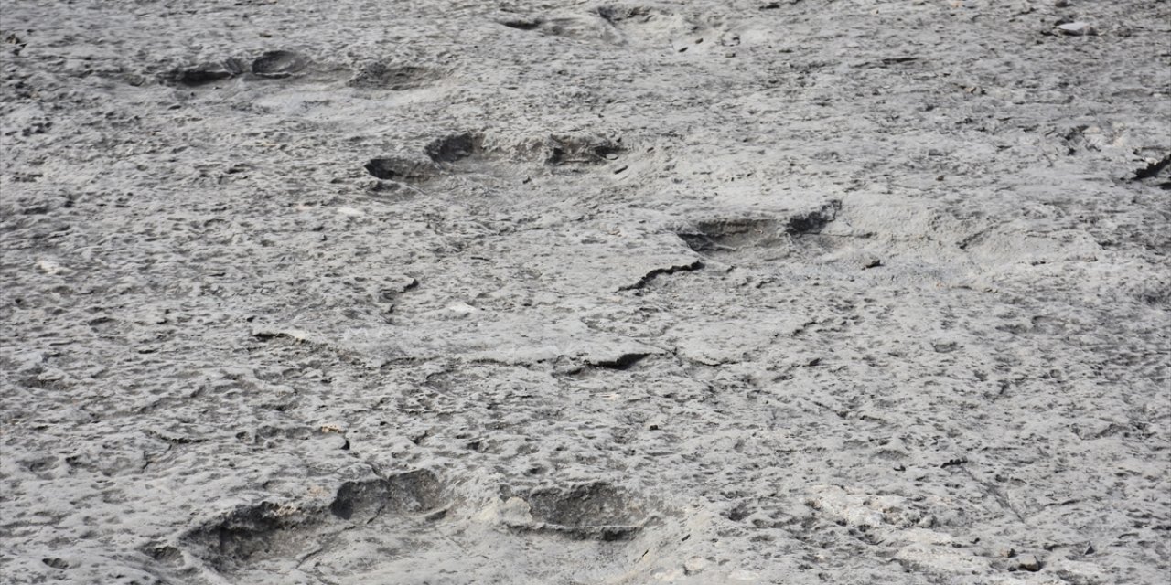 İtalya'da 200 Milyon Yıl Öncesinden Kaldığı Düşünülen Binlerce Dinozor Ayak İzi Keşfedildi