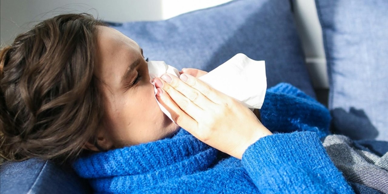 Sağlık Bakanlığı, Mutasyona Uğramış Gribin Türkiye İçin Endişe Oluşturmadığını Açıkladı