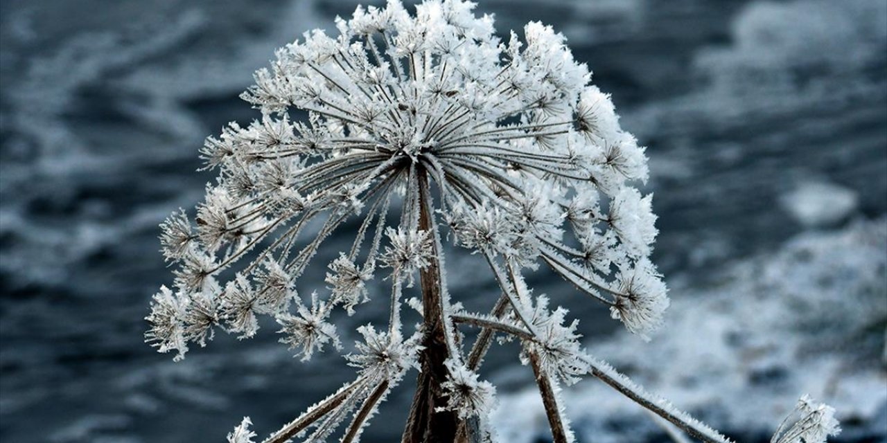 Erzurum, Ardahan, Kars ve Balıkesir'de Soğuk Hava Etkili Oldu