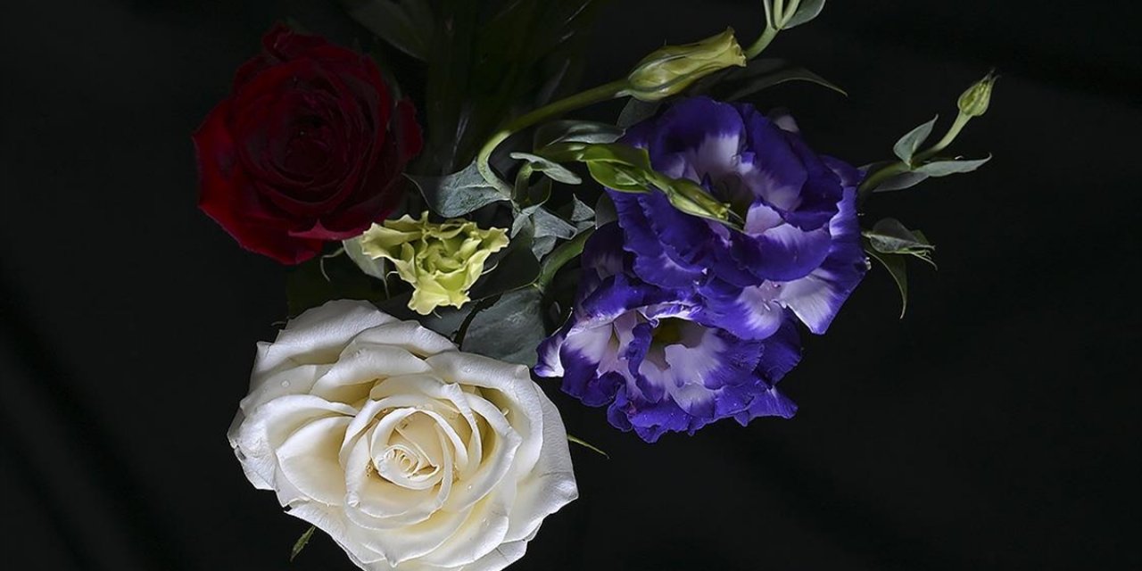 Türkiye'den Yılbaşı İçin 12 Milyon Dolarlık Çiçek İhracatı