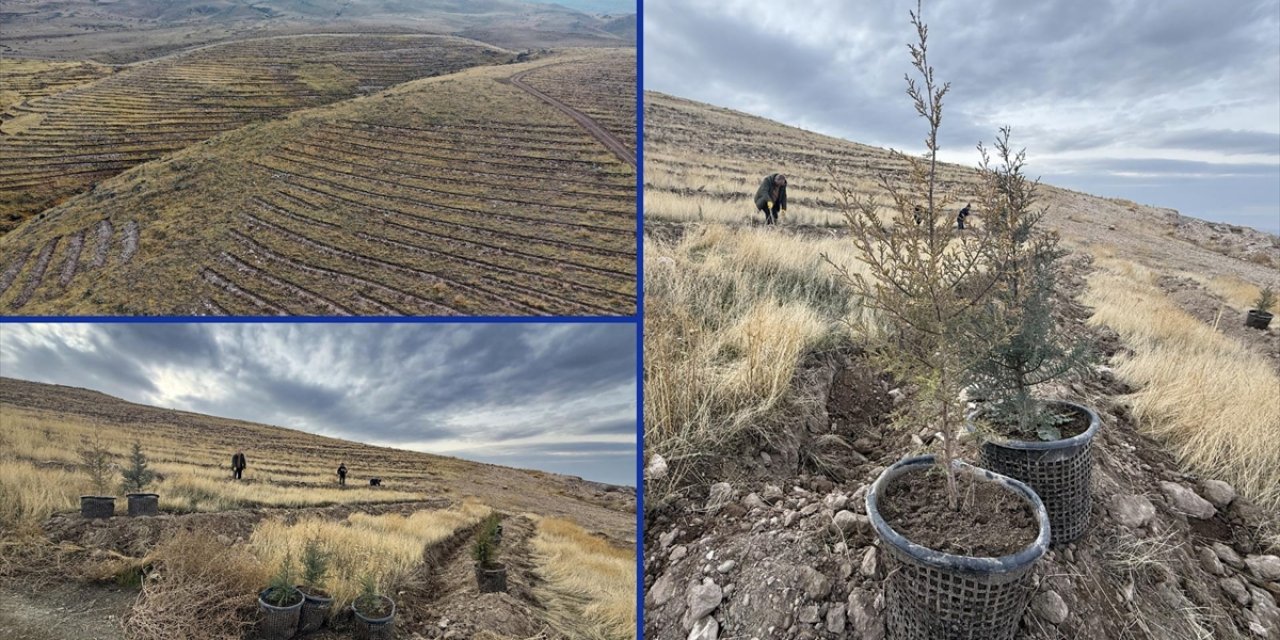 Türkiye'nin En Kirli Havasına Sahip Iğdır'da Bol Oksijen İçin Ağaçlandırma Hamlesi