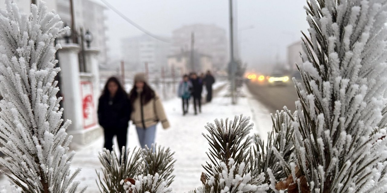 Kars, Ardahan ve Ağrı'da Dondurucu Soğuklar Etkisini Sürdürüyor