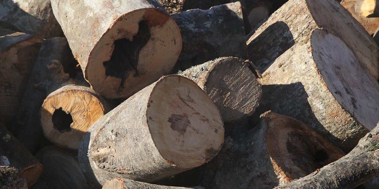 Ormanlar Kaçak Ağaç Kesimine Karşı Teknolojik İmkanlarla 7 Gün 24 Saat Korunuyor