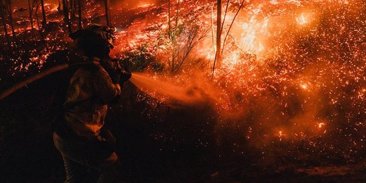 İspanya'da Bu Yıl 350 Bin Hektardan Fazla Ormanlık Alan Yandı