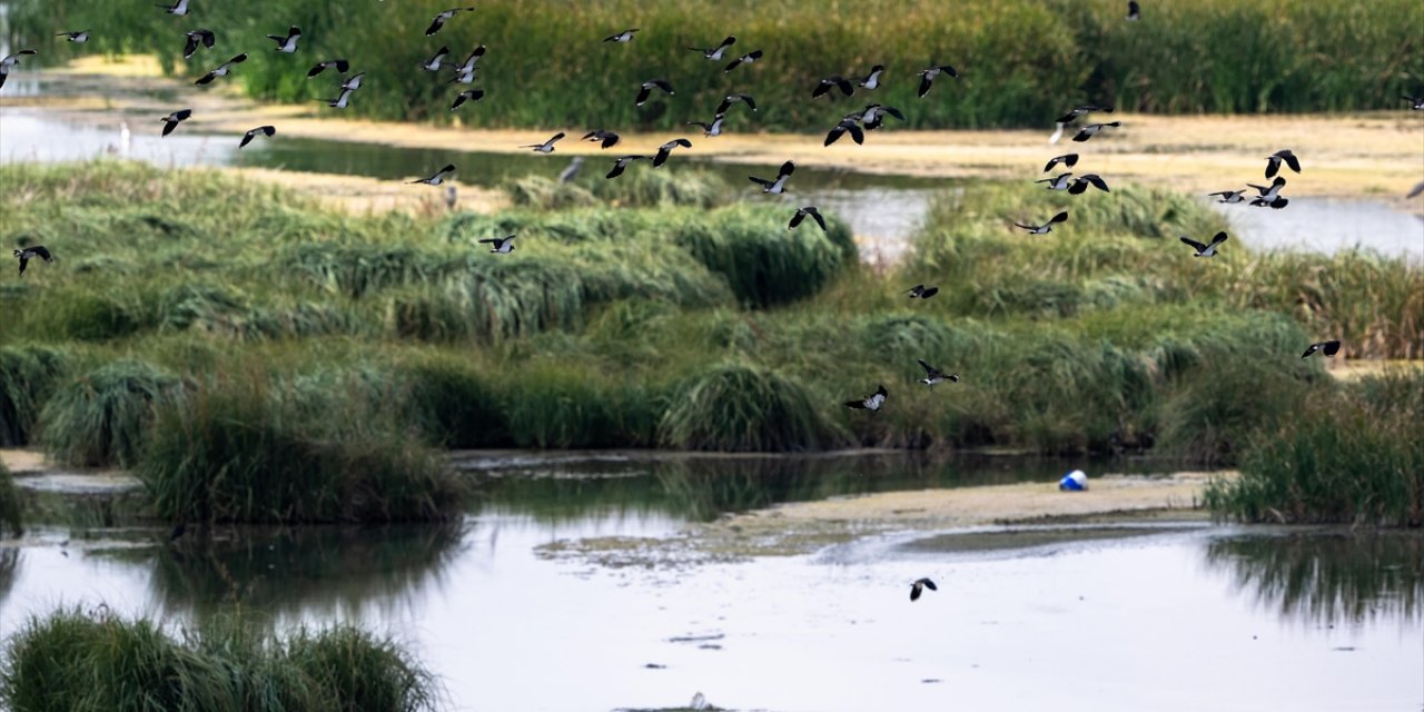 Türkiye'nin Doğal Sit Alanı Büyüklüğü 28 Bin 907 Kilometrekareye Ulaştı