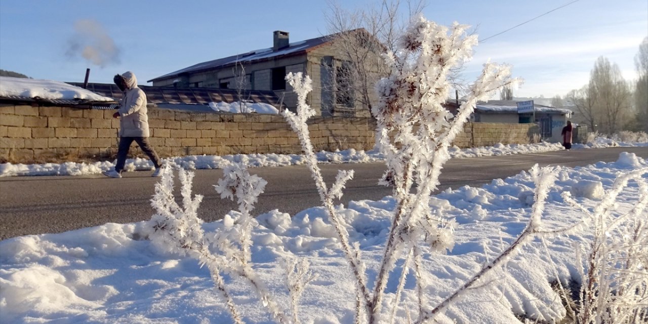 Doğu Anadolu'da Dondurucu Soğuklar Yaşamı Olumsuz Etkiliyor