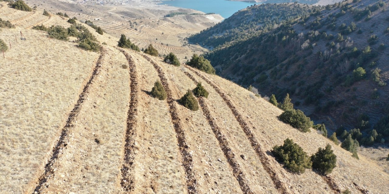 Doğu'da 9 Milyon Tohum ve Fidan Toprakla Buluşturuldu