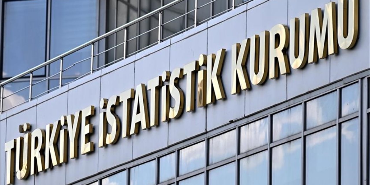 Tüik, "Teknogirişim Araştırması, 2024" Bültenini Yarın Yayımlayacak