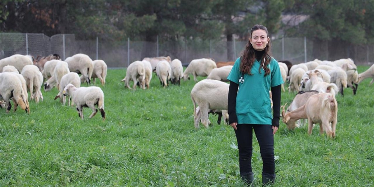 Devlet Desteğiyle Besiciliğe Başlayan Veteriner, Babasının Emanetine de Sahip Çıkıyor