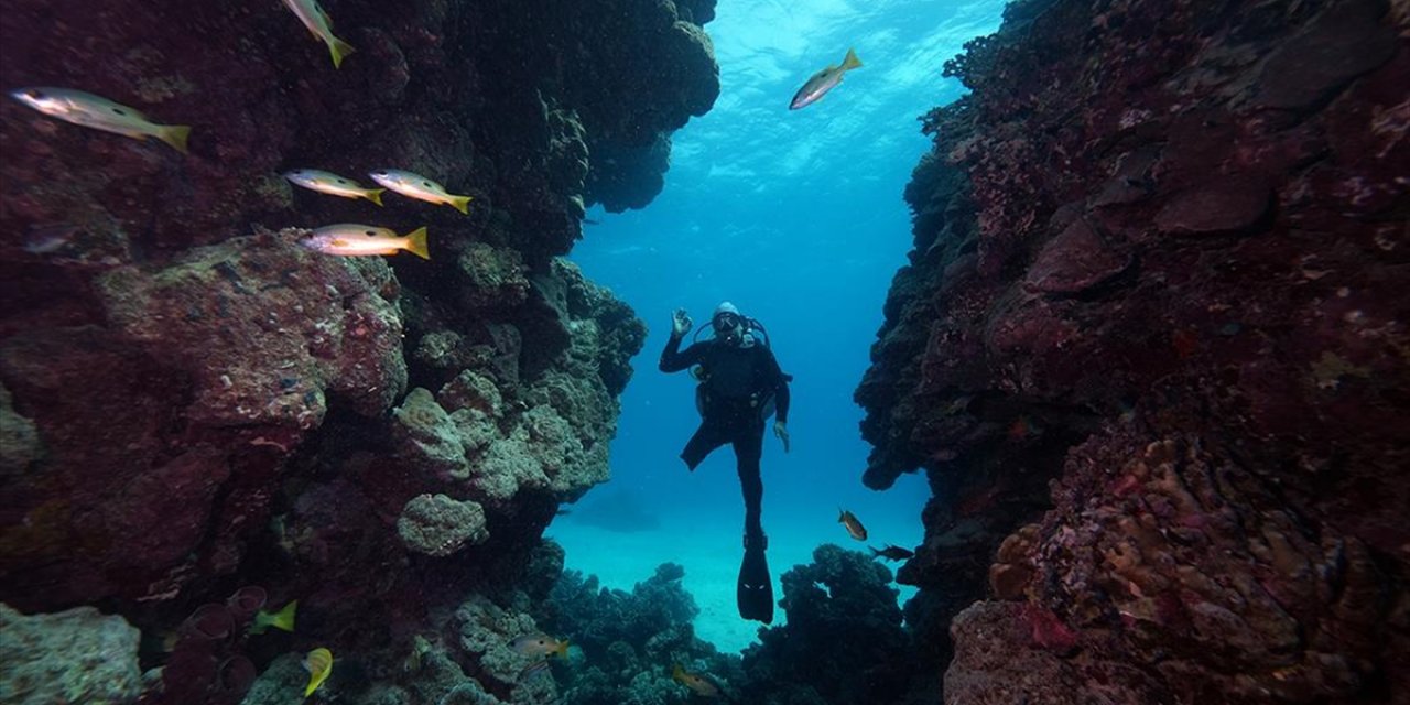 Su Altı Görüntü Yönetmeni Tahsin Ceylan Bedensel Engelli Özgür Akçı'yla Kızıldeniz'e Daldı