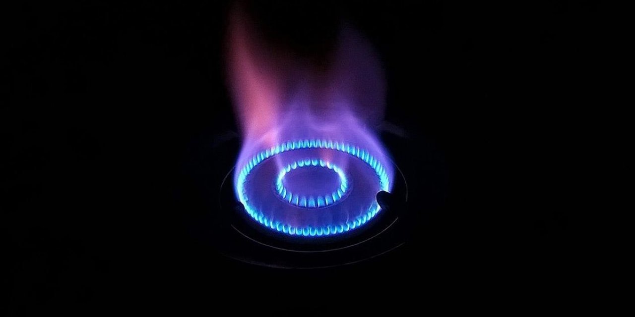 EPDK, Doğal Gaz Piyasası Lisans Yönetmeliğinde Değişikliğe Gitti