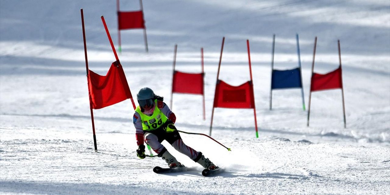 Alp Disiplini Fıs Sarıkamış Cup Yarışları, Kars'ta Devam Ediyor