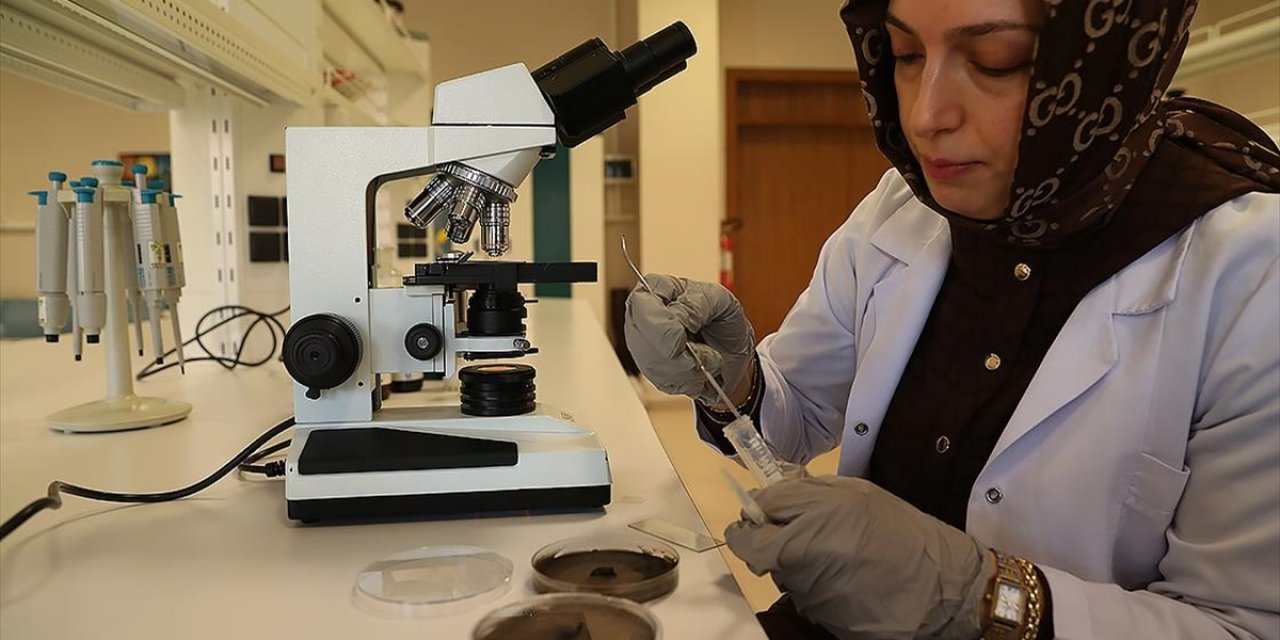 Organik İçerikli Solüsyon, Tarımsal Ürünlerin Kalitesini Artırıp Raf Ömrünü Uzatıyor