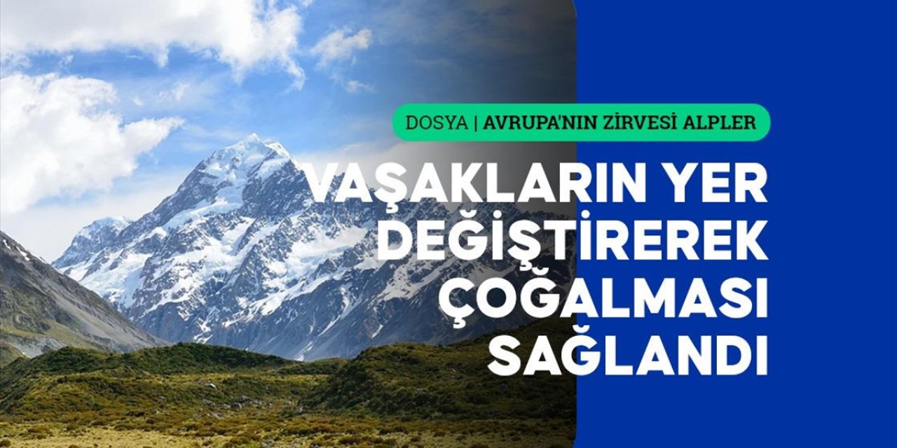 Slovenya Alpleri Yaban Hayatı Çeşitliliğiyle Avrupa'da Ekolojik Koridor Oluşturuyor