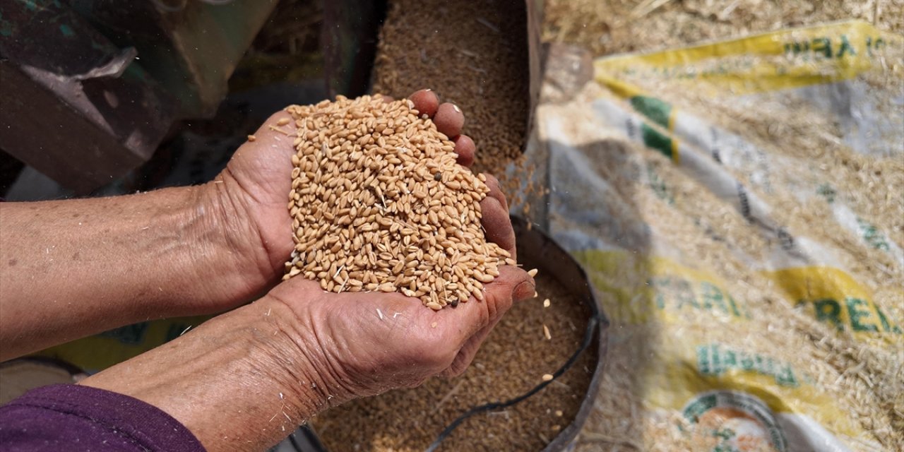 TMO'nun Stokları Gelecek Hasat Dönemine Kadar Türkiye'nin İhtiyaçlarını Karşılayacak Seviyede