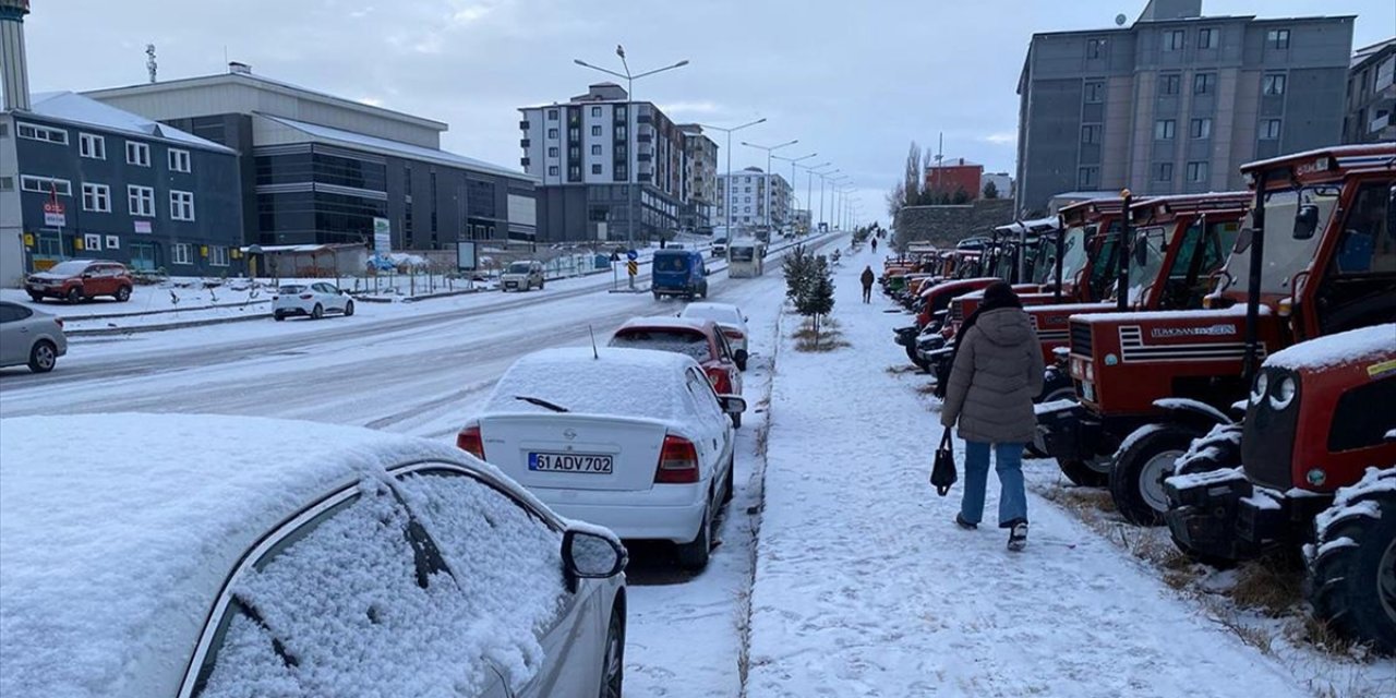 Kars ve Ardahan'da Kar Etkili Oldu