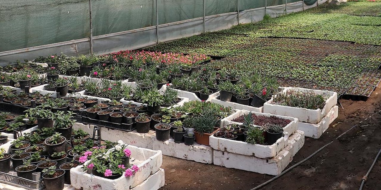 Fide Sektörüne Yönelik Rekabet Soruşturması Başlatıldı