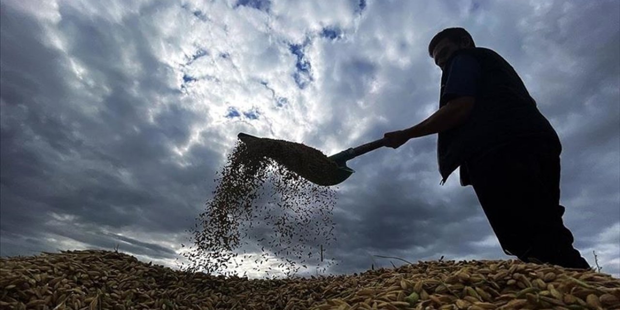Çiftçilere Yaklaşık 1,7 Milyar Lira Tarımsal Destekleme Ödemesi Bugün Yapılacak