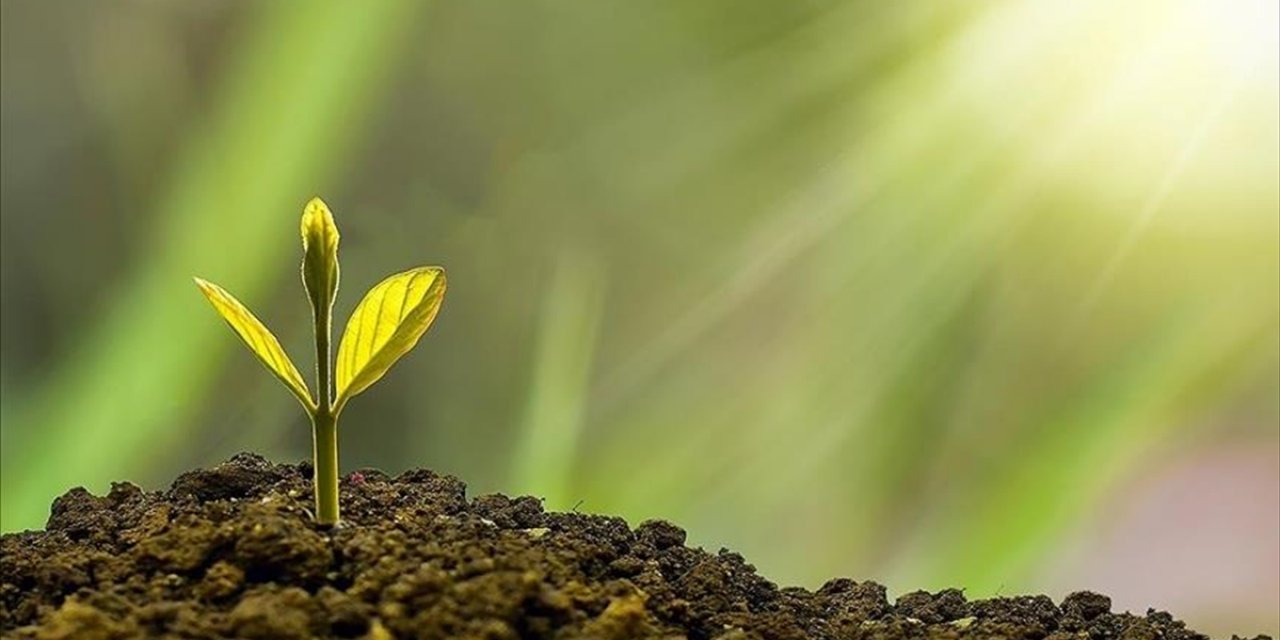 Türkiye'de Çevre Alanında 2025 Böyle Geçti